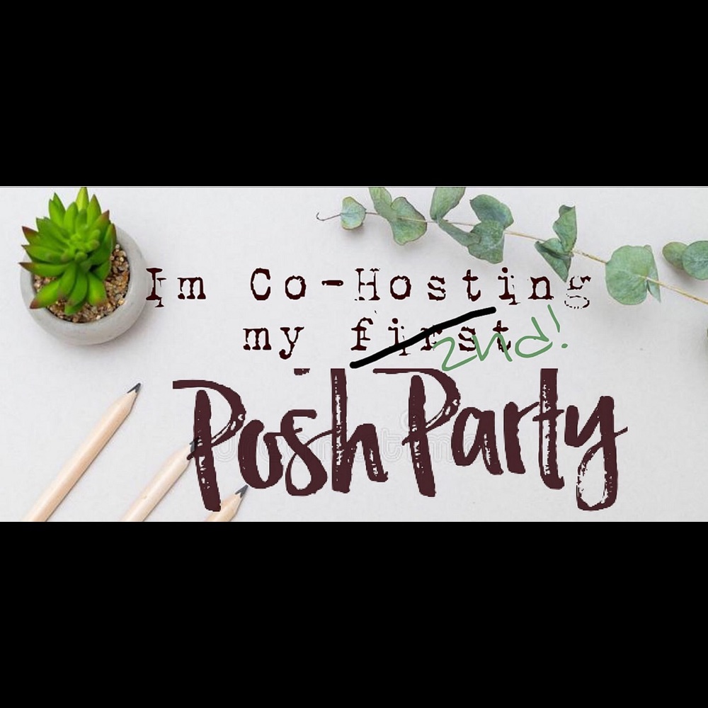 🌵 UPDATE! Best in Boutiques! 2nd Posh Party!! 🌵